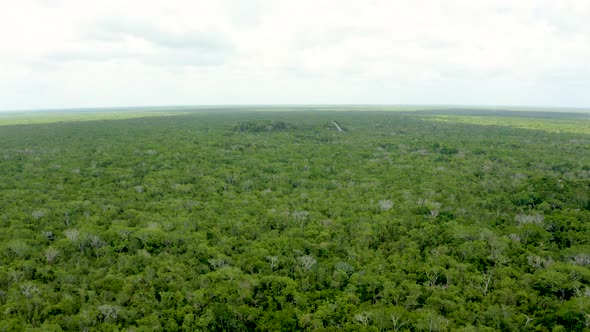 Aerial View of the Mayan Pyramids in the Jungle of Mexico Near Coba