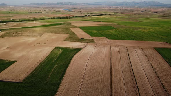 Flying Over the Agricultural Green Fields