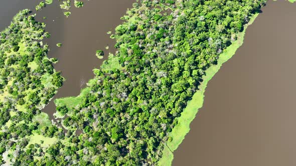 Stunning landscape of Amazon Forest at Amazonas State Brazil.