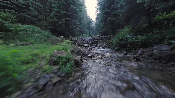 Smooth Rapid Flight Over a Mountain River Close to the Water Among a Dense Forest