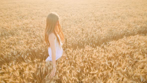 Young Woman Walks in Ripe Wheat Field Touching Spikelets