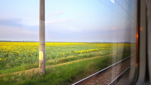 Traveling by Train