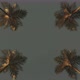 Driving Through Palm Trees - VideoHive Item for Sale