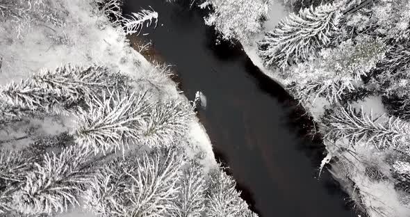 Topdown Aerial Footage Over Snow Covered Forest and Black River