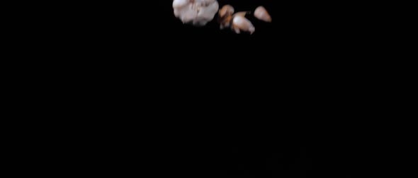 Garlic Cloves and the Whole One are Tossed Up and Spinning on a Black Background in Slow Motion Shot