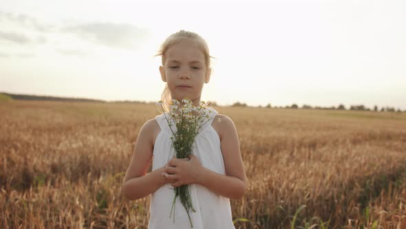 Portrait of a Cute Little Girl with a Bouquet of Chamomiles in a Wheat Field Against the Background