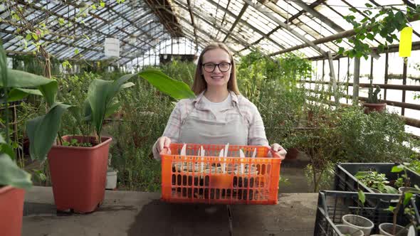 Young Farmer Puts a Basket of Seedlings on the Table