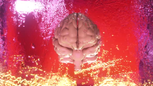 A Frozen Human Brain Inside a Spinning Ice Cube