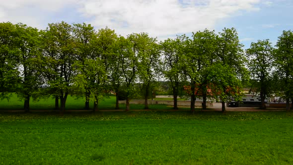 Drone Video of an Tree Alley