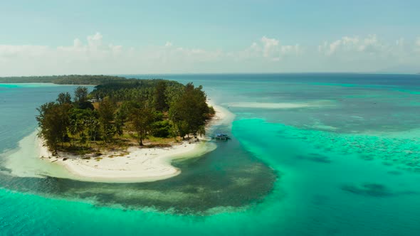 Tropical Island with Sandy Beach