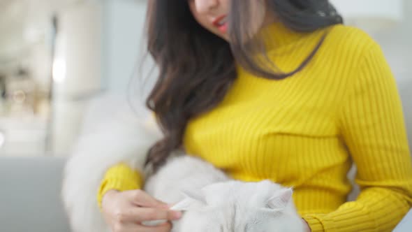 Asian woman holding little cat and brush furs with happiness at home.