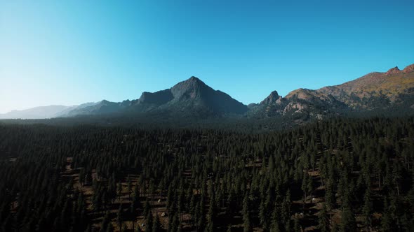 Landscape View of the Mountain Range with Trees in the Fall alt