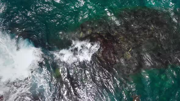 Top-down view of sea turtles in the ocean waves, black rock at the bottom (Kauai, Hawaii, USA)