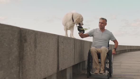 Wheelchair Man with Dog Outdoors