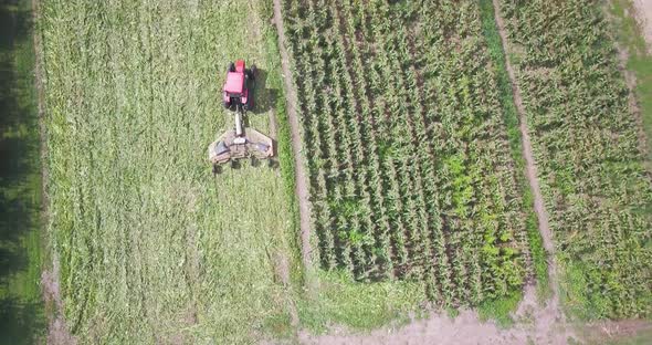 Aerial camera rises to show tractor in corn field mowing down cornstalks.