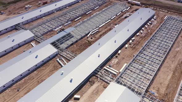 From a Birds Eye View on the Pig Farm the Production Facilities of the Livestock Breeding Complex