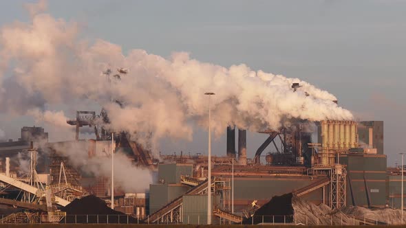 Factory Tata Steel with smoking chimneys on a sunny day in Holland