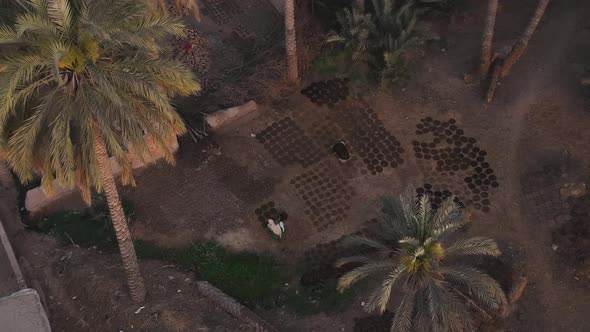 Aerial Overhead Over Rural Village With Locals Drying Tiles On Ground Beside Tall Palm Trees