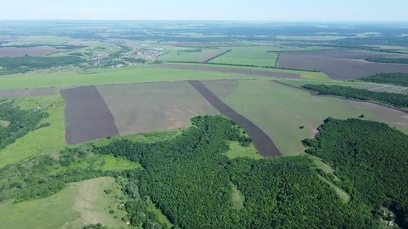 Aerial View of Cultivated Fields and Forest. Beautiful Landscape By Flying Drone