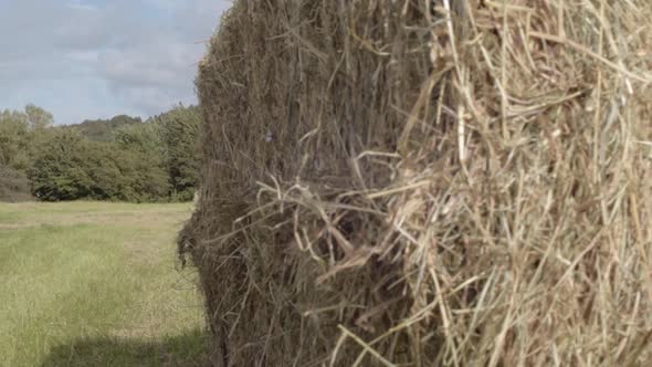 Hay bales in farmers field medium panning shot