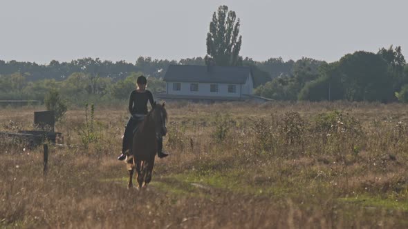 Young Woman Riding Horse in Field with Wildflowers