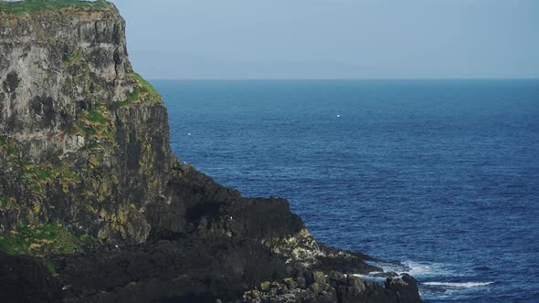 Seabirds flying over a rock mountain overlooking the Antrim Coast in Ireland - close up