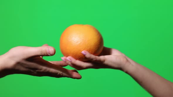 Fruits on a green background chromakey.