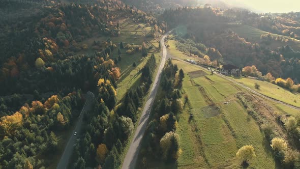 Picturesque Dense Forests and Green Meadows Lit By Sunlight