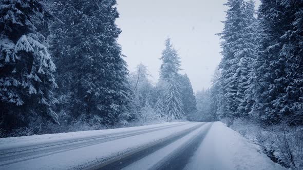 Road Through The Forest In Snowfall