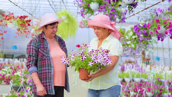 Front View Looking at Each Other Two Elderly Women in Greenhouse Talking