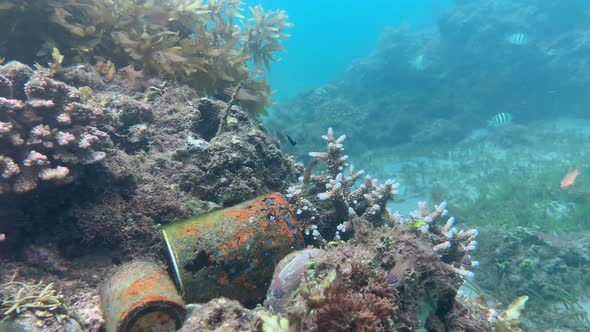 Underwater Scene: Old Rusty Cans Lying on the Corals Under the Sea with Fishes