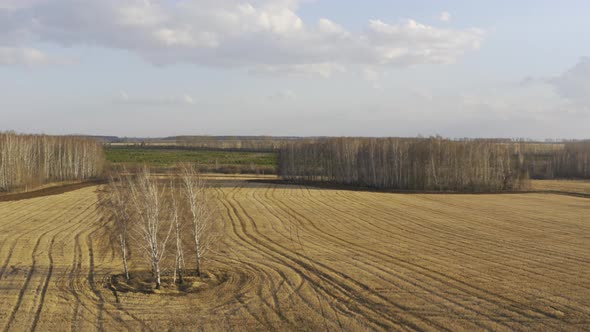 Aerial View of the Field with Dry Grass