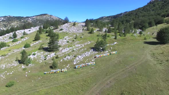 Aerial view of bee hives on Dinara mountain