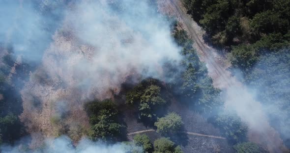 Ground Fire in Forest During Dry Season. Road Runs Through Burning Forests, Aerial View.