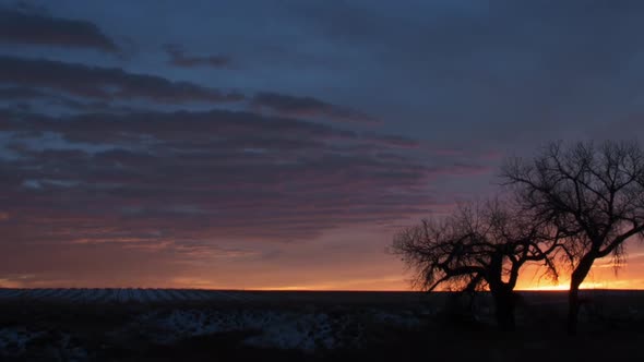 Brilliant Sunrise Behind Cottonwood Trees Timelapse Pan and Zoom Out