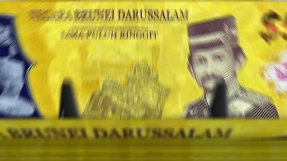 Brunei dollar money counting machine down loop