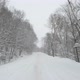 Video of Road in Winter Forest - VideoHive Item for Sale