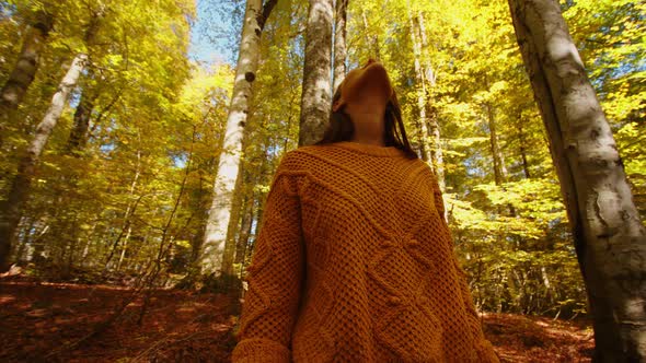 Young Woman is Exploring the Scenic Tree Crowns in Forest of Caucasian Mountain Range