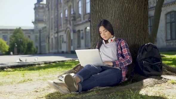College Student Sitting Under Tree in Campus, Using Laptop, Writing Final Paper