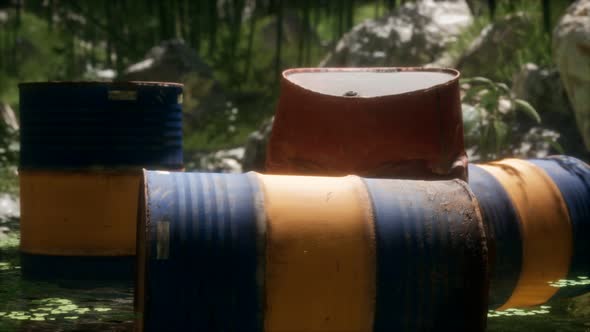 Rusty Barrels in Green Forest