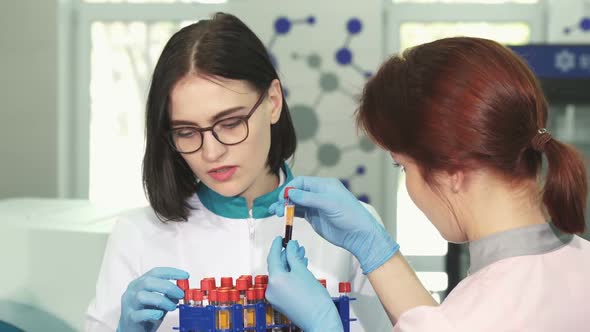 Attractive Female Chemist and Her Assistant Working with Test Tubes