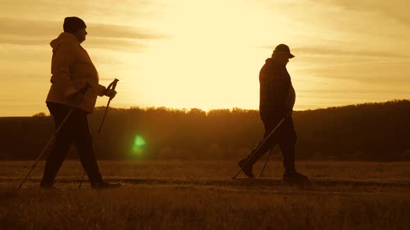 Mature Couple Nordic Walking on Pathway in the Meadow