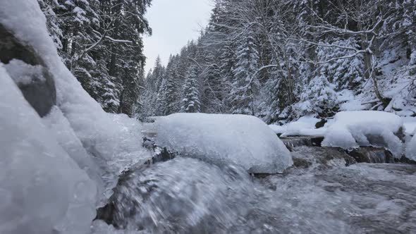 Seething Winter River with Chunks of Ice in Snowy Forest