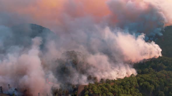 Aerial View Forest Fire