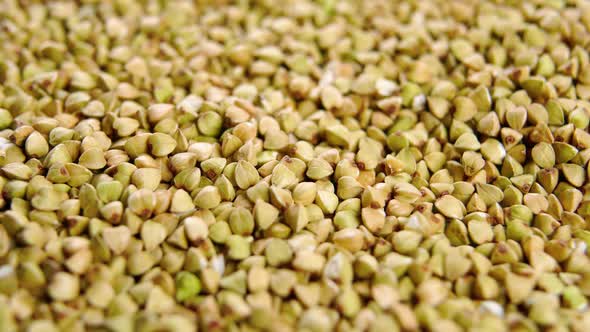 Green whole grain buckwheat seeds. Dietary fiber. Uncooked dry kernels. Macro