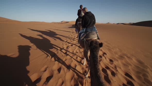 POV of Camel Riding in Desert