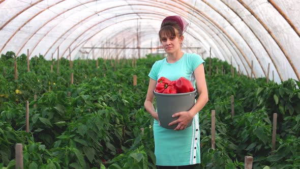 Female Farmer Holding Bucket with Fresh Peppers