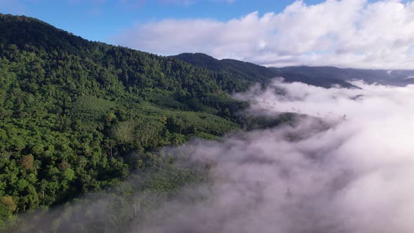 Drone view flying over sea of mist or fog Landscape High angle view