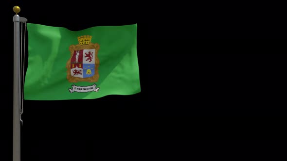 León City Flag (Mexico) on Flagpole with Alpha Channel - 4K