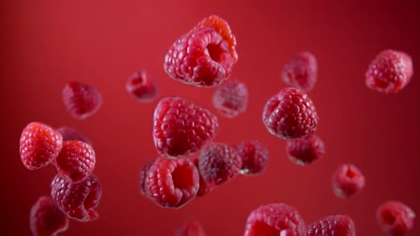 Close-up of Large Raspberries Bouncing and Rotating on the Red Background